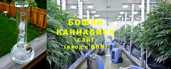 крисы Наволоки