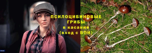 крисы Наволоки
